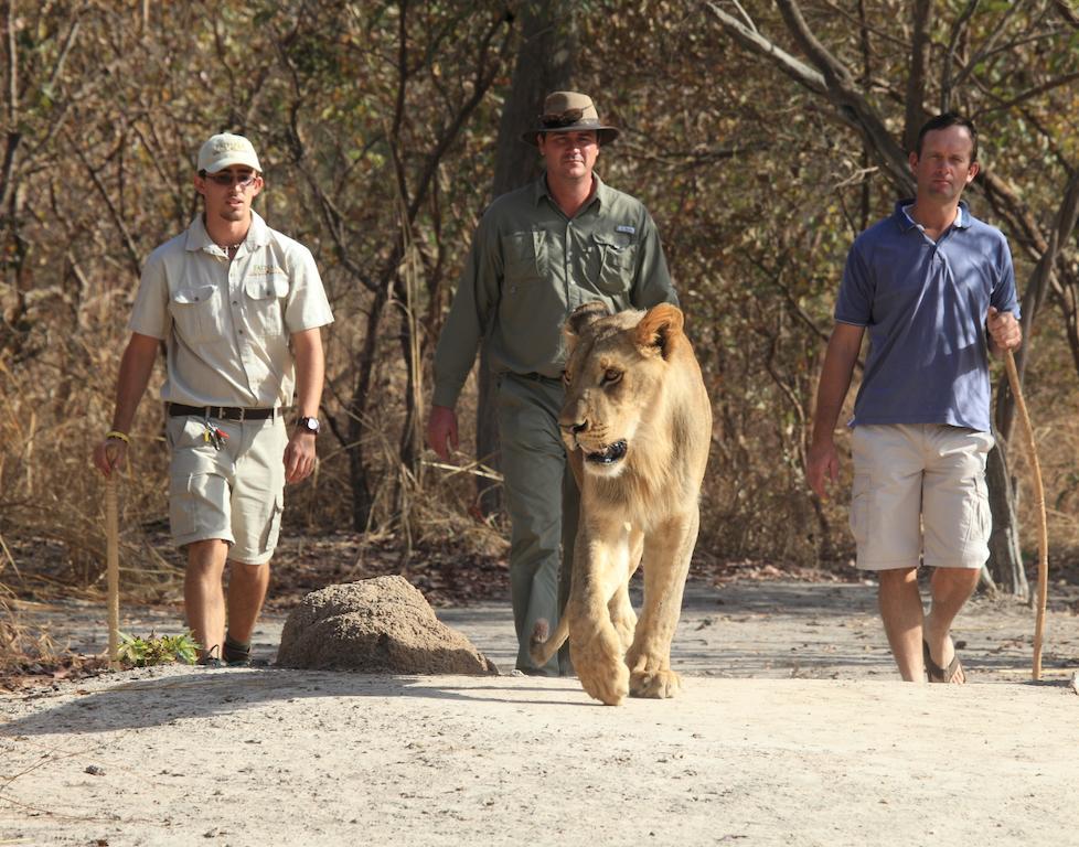 Fathala Wildlife Reserve Toubakouta エクステリア 写真