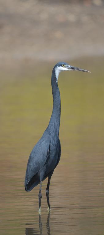 Fathala Wildlife Reserve Toubakouta エクステリア 写真