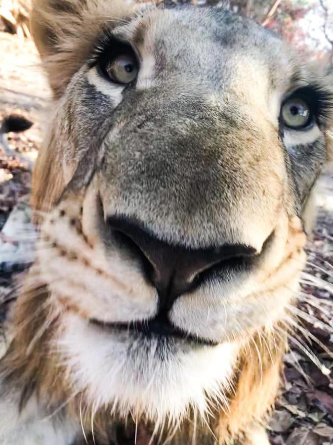 Fathala Wildlife Reserve Toubakouta エクステリア 写真